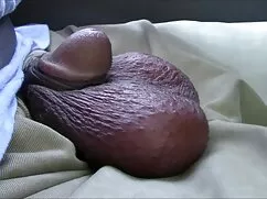 LoriDawn Messuri-tội ...