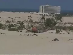 Tự nhảy và hút . cô  ...