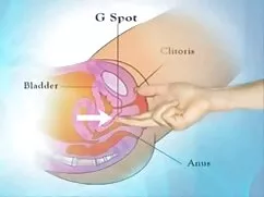 MARISKAX vung trom c ...