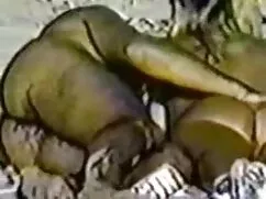 Vàng gái điếm-già, p ...