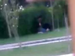 Tuyệt vời, phim sex  ...