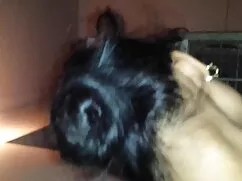 Viền set vung trom v ...