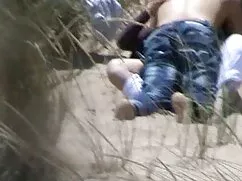 Solo với chim tình v ...